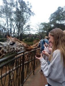 Giraffe feeding experience pack up safaris