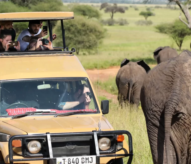 Game Drives