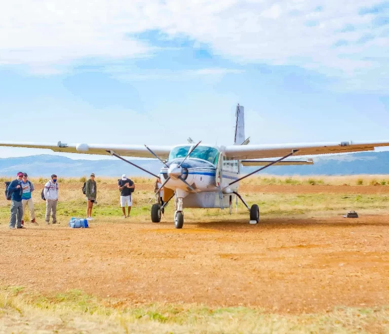 Flying Safaris
