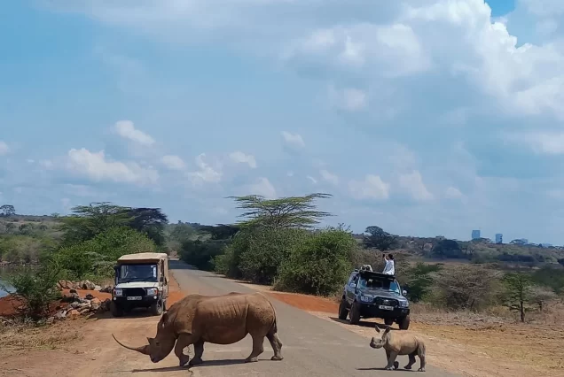1/2 Nairobi park tour -Safari jeep
