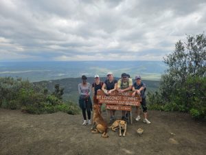 Trekkig safari