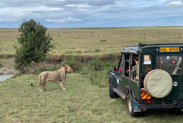 masai mara affordable safari