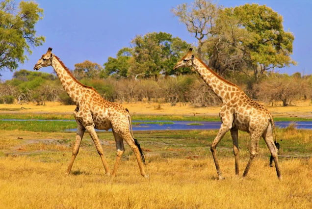 Extreme Tanzania Wilderness & lake game viewing -5 days