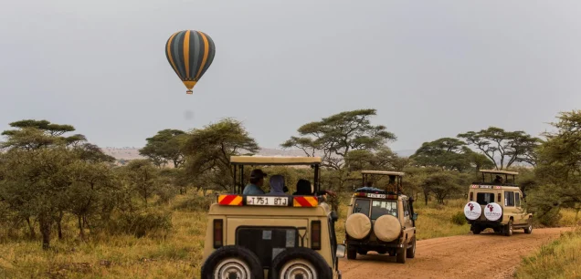 Kenya and Tanzania Safari Packages