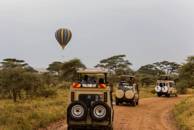 Exclusive Crater Day safari -Ngorongoro