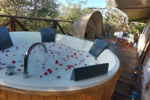 3 Day luxury private safari -Boat ride +Big 5