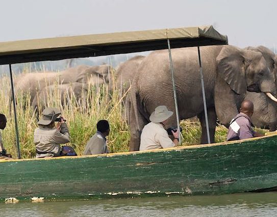 4 Days safari Experience-  Nyika & Vwaza park Combined
