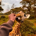 Nairobi day walking tour