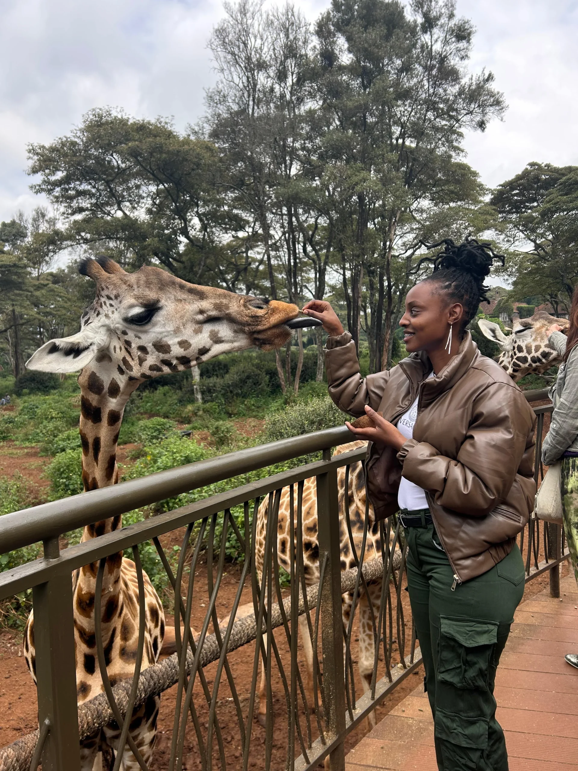 Nairobi giraffe visit