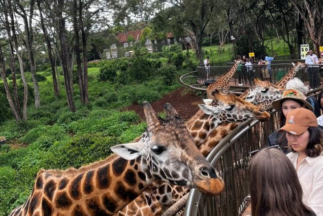 nairobi walking tour