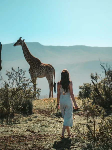 PackupAfricaSafaris065